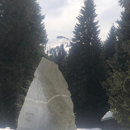 Apartmany U Vleku - Podkrovni Apartman Karlova Studánka Buitenkant foto