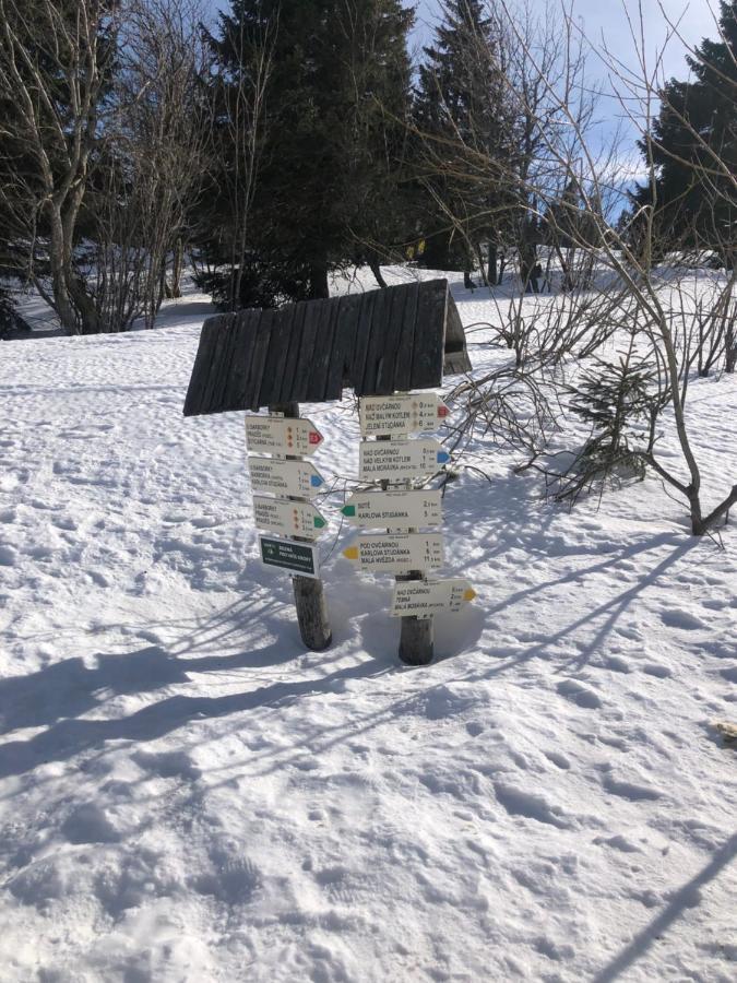 Apartmany U Vleku - Podkrovni Apartman Karlova Studánka Buitenkant foto