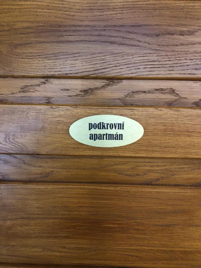 Apartmany U Vleku - Podkrovni Apartman Karlova Studánka Buitenkant foto